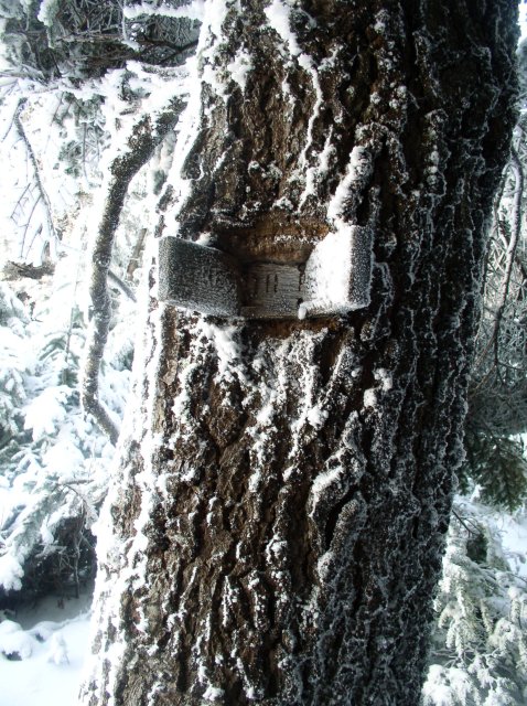 11.27.05 Nesmith Point 099 